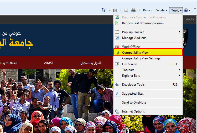 IE Compatibility View